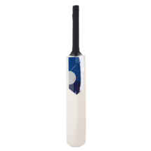 EDGBASTON MINI BAT 2024