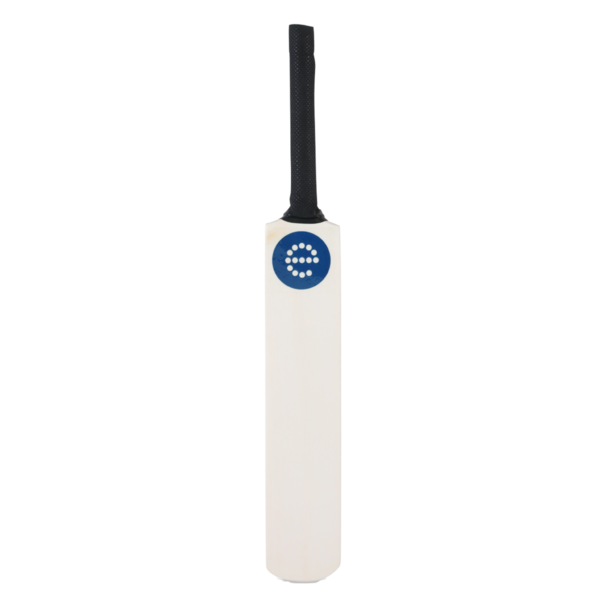 EDGBASTON MINI BAT 2024